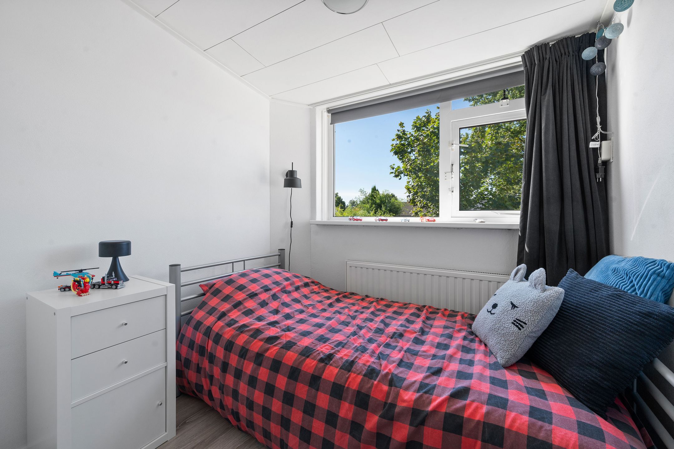 Foto 21 van Heemskerkstraat 55