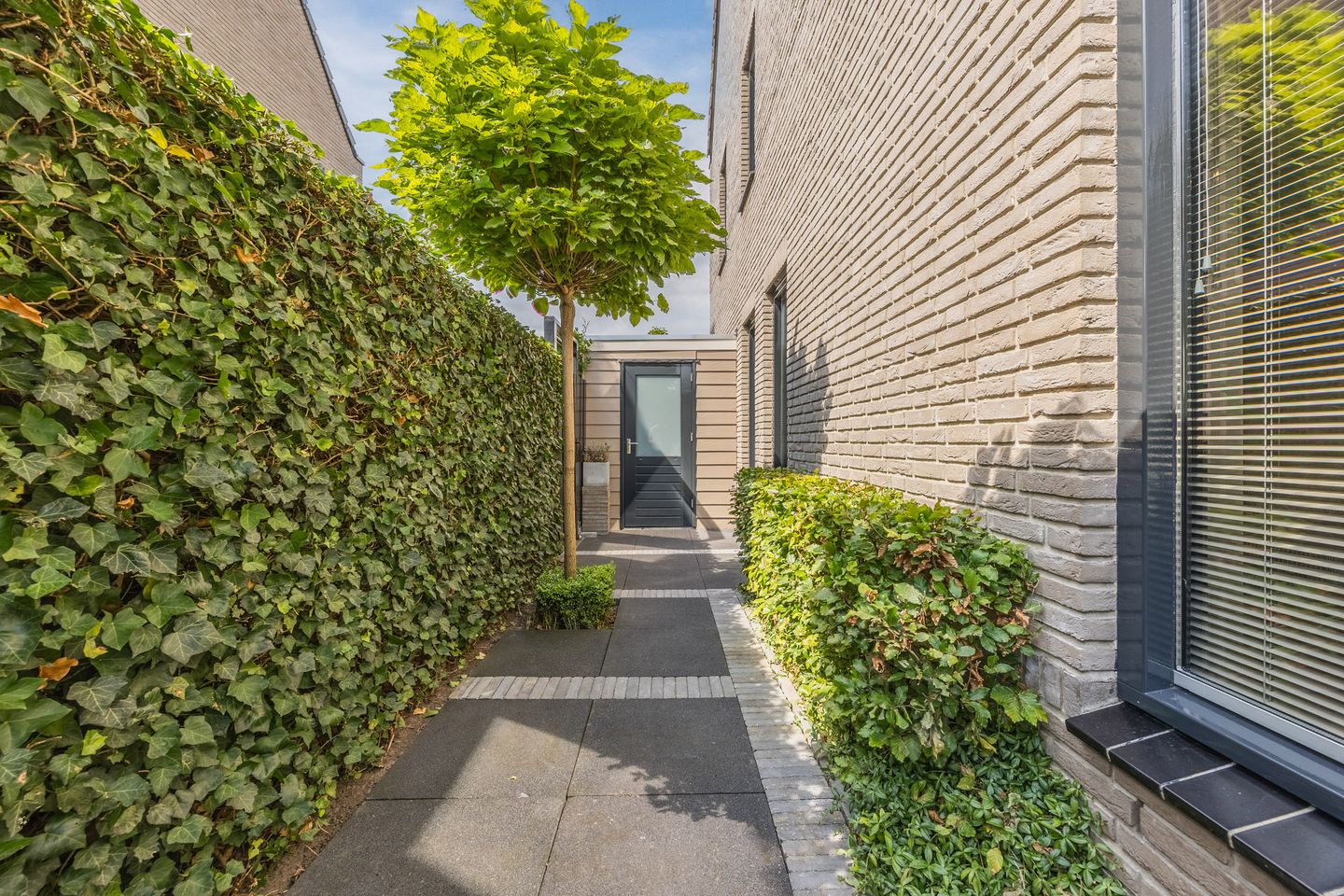 Foto 44 van De Spindel 20