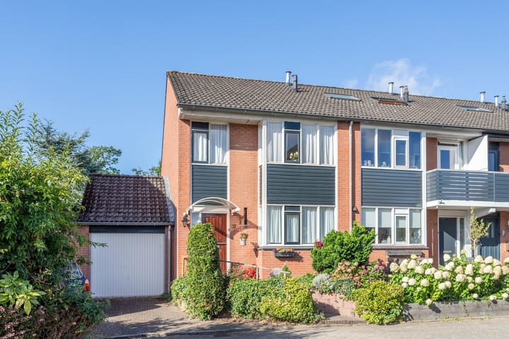 Foto 2 van Punter 37