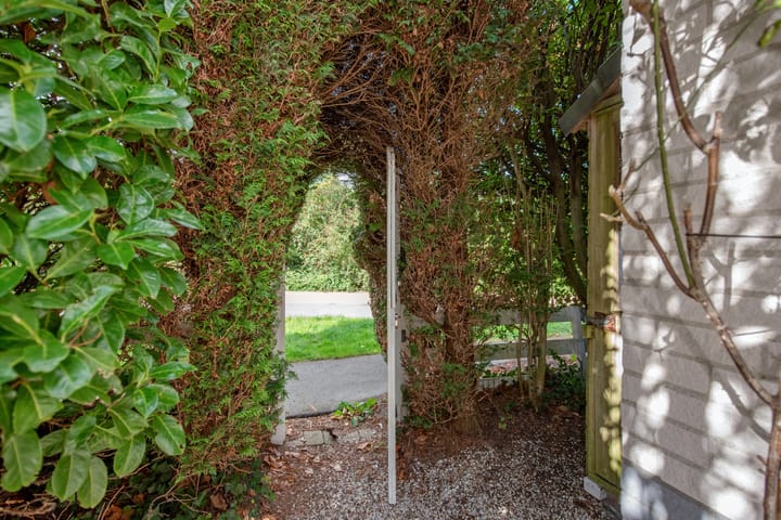 Foto 39 van Behrenslijn 7