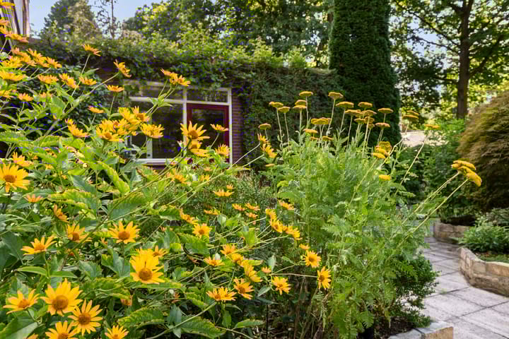 Foto 58 van Zwarte Kijkerweg 47