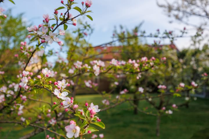 Foto 52 van Rijksstraatweg 116