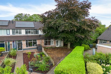 undefined main image