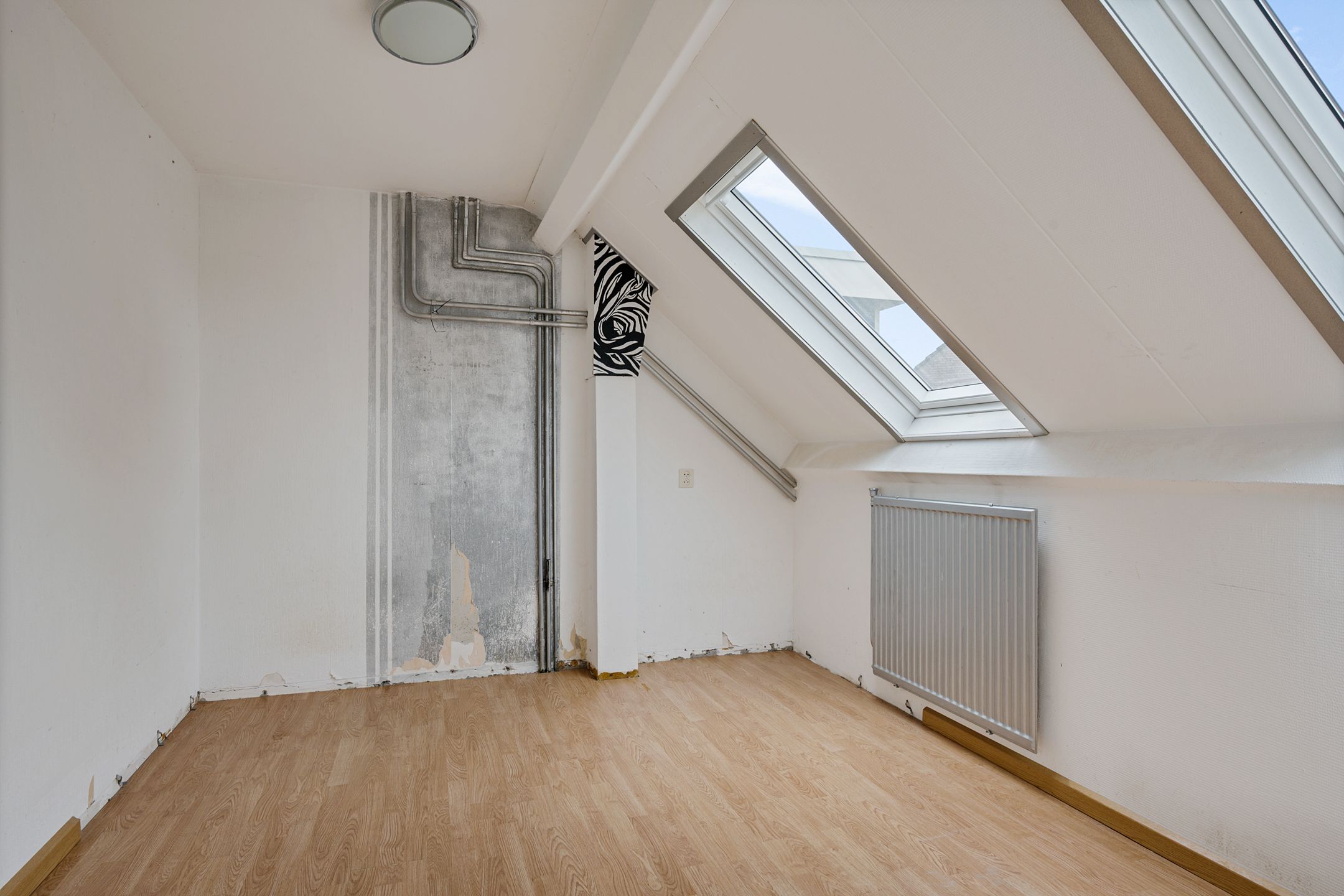 Foto 24 van De Orion 54