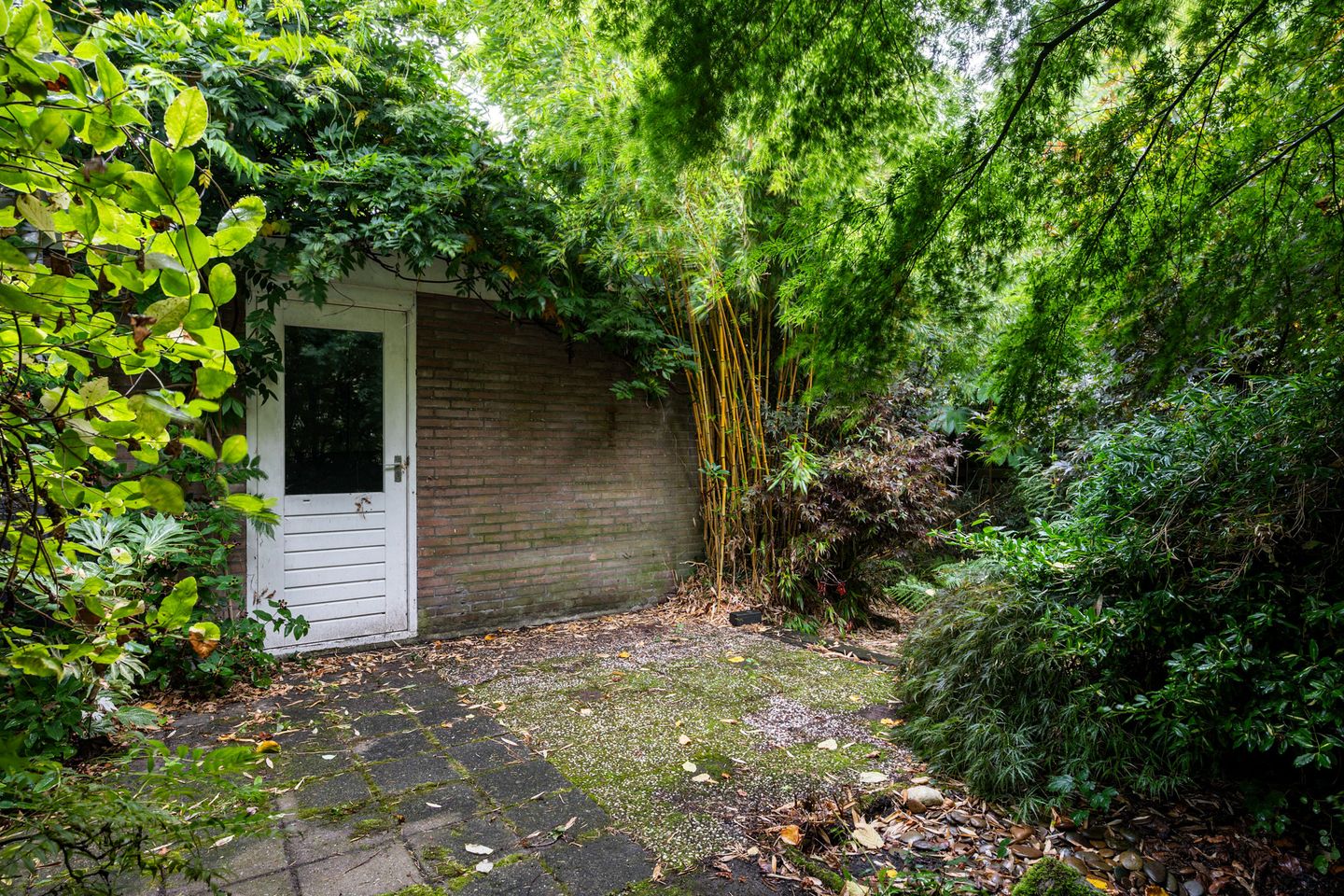 Foto 29 van De Orion 54