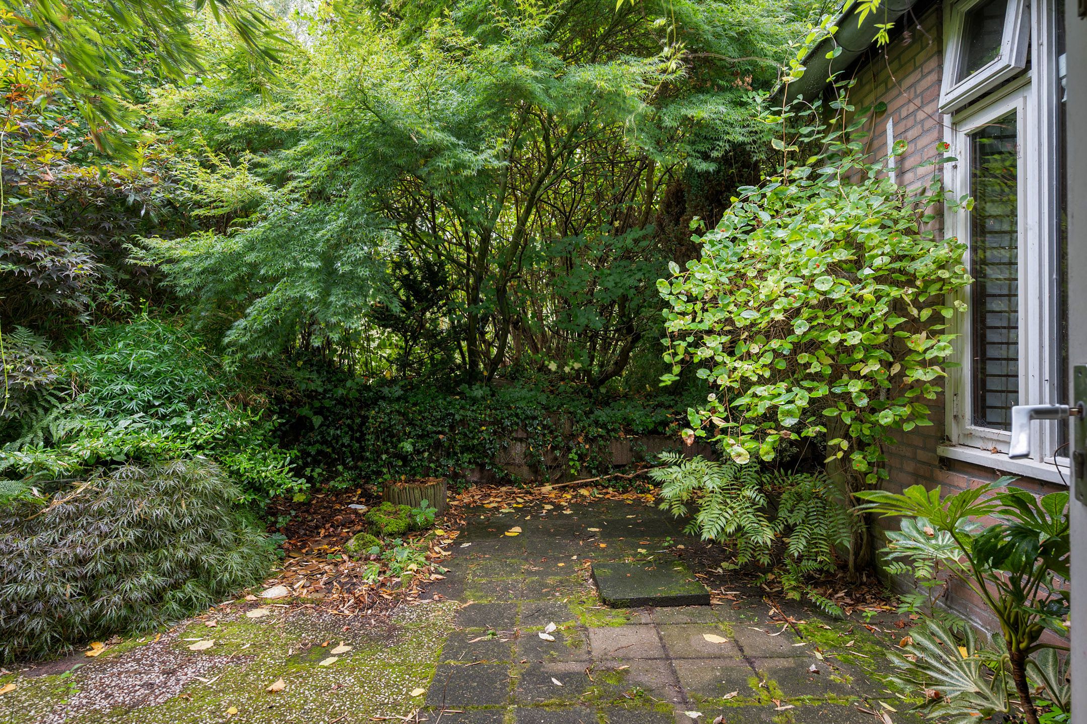 Foto 30 van De Orion 54