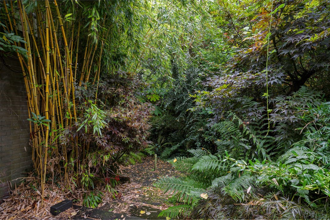 Foto 31 van De Orion 54