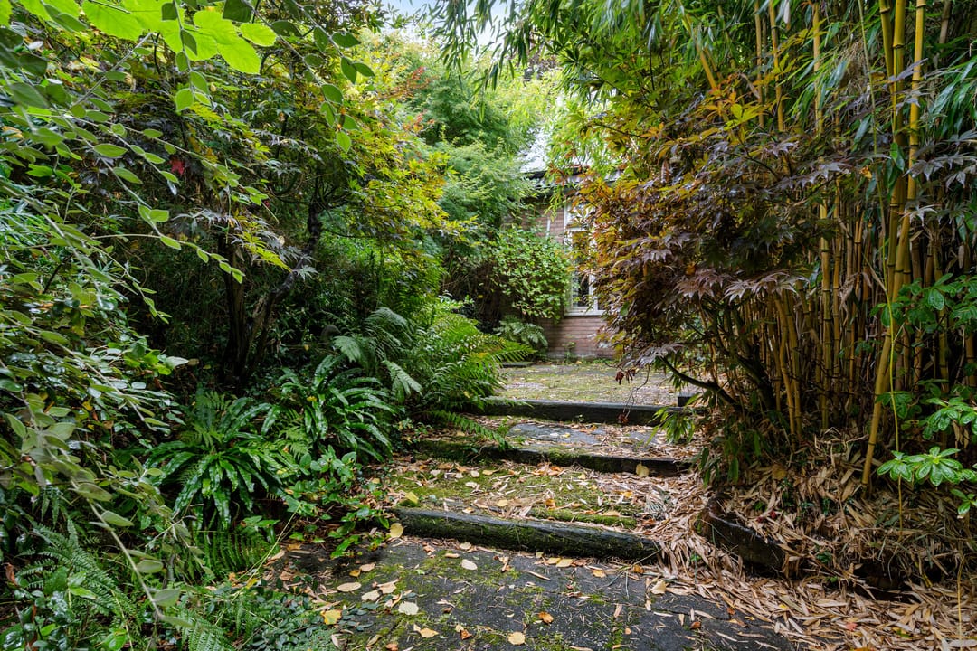 Foto 32 van De Orion 54