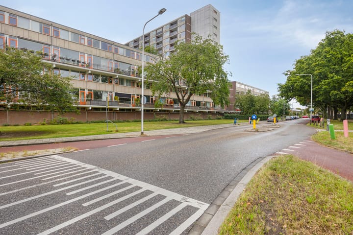 Foto 30 van Monteverdilaan 249