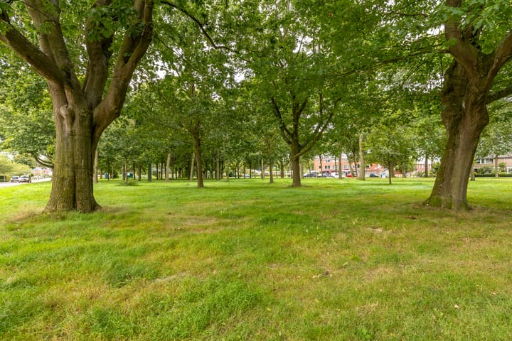 Foto 39 van Minervastraat 92