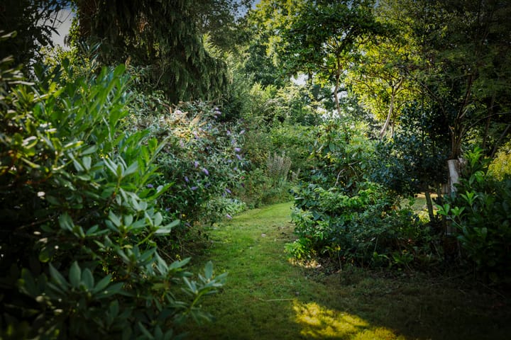 Foto 27 van Gorsselseweg 4