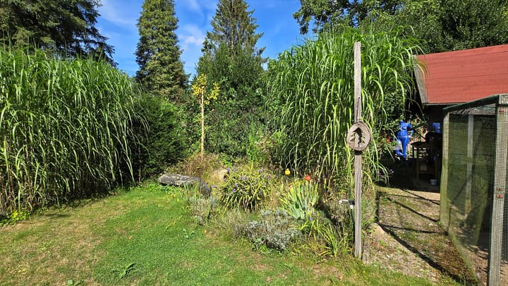 Foto 22 van Baron van Brakelllaan 3