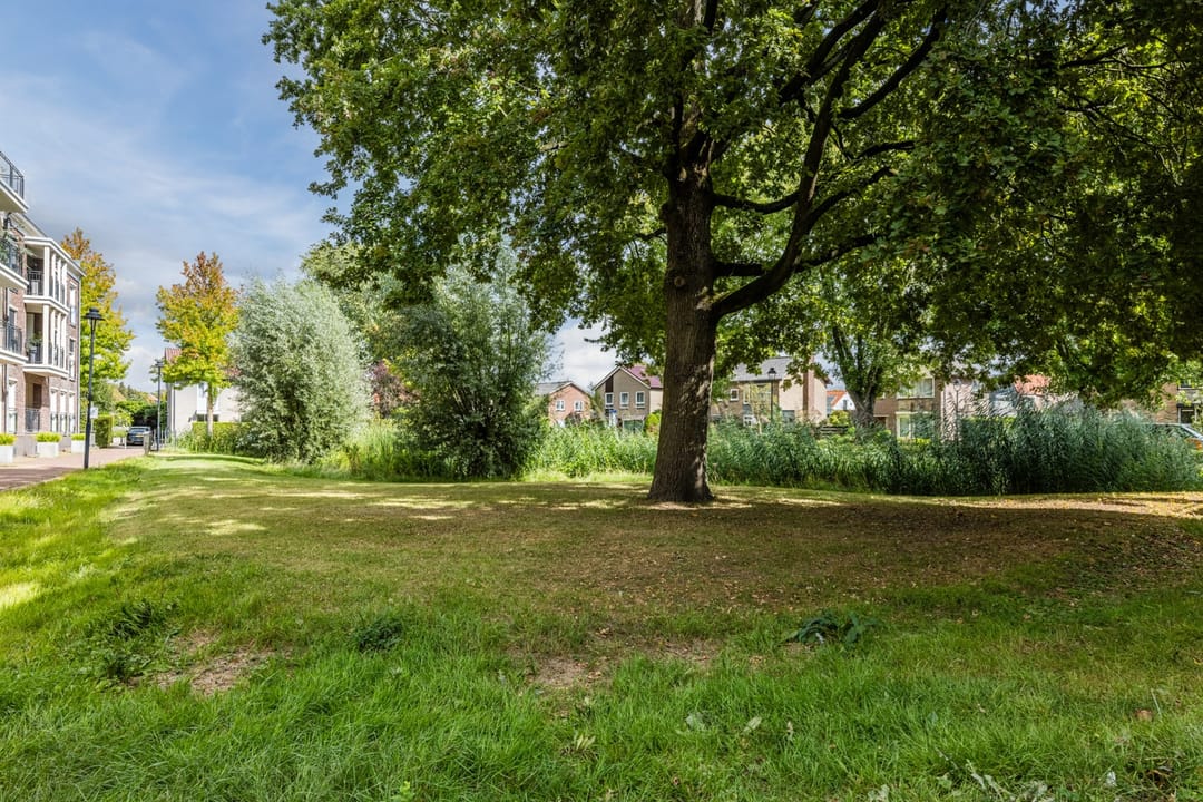 Photo 52 of De Beeringen 1