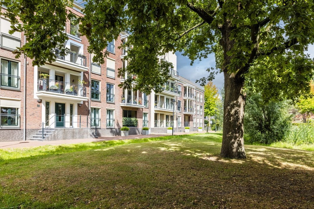 Photo 53 of De Beeringen 1