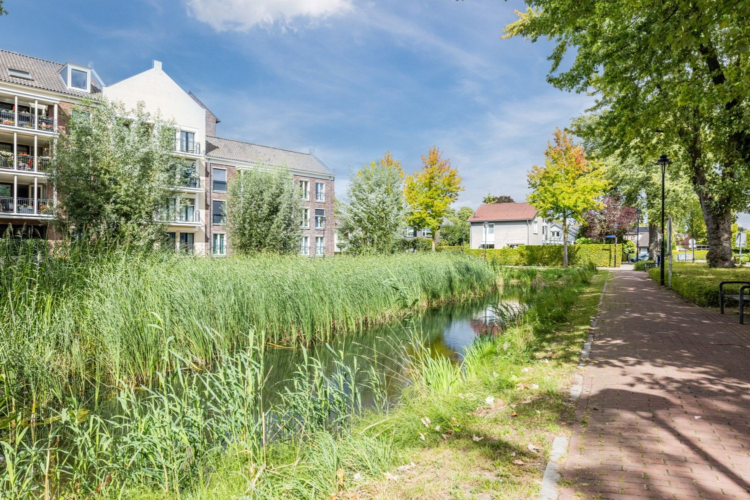 Photo 54 of De Beeringen 1