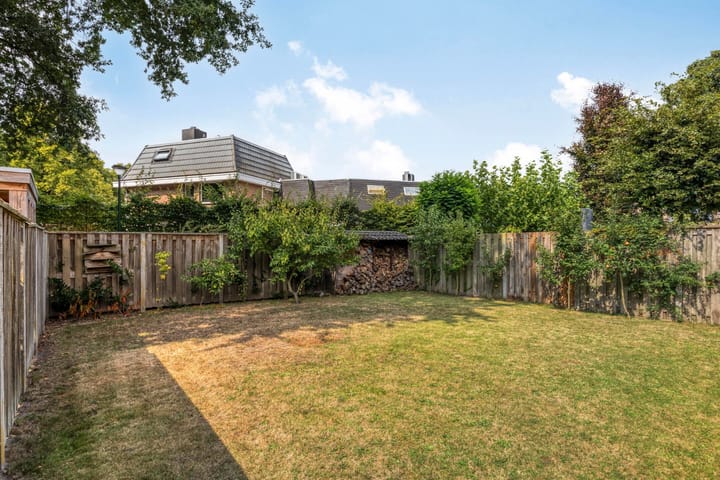 Foto 21 van Meidoorn 16