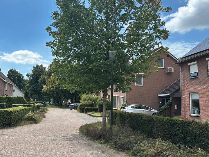 Foto 43 van Meidoorn 16