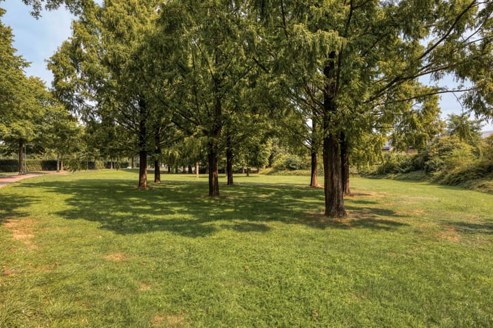 Foto 45 van Meidoorn 16