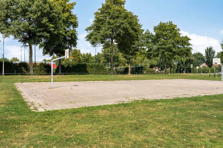 Foto 47 van Meidoorn 16