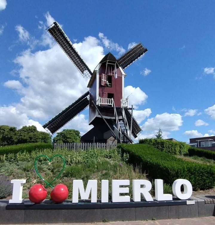 Foto 48 van Meidoorn 16