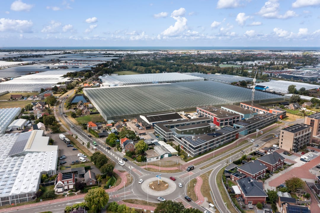 Foto 62 van Naaldwijkseweg 384