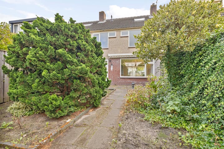 Foto 19 van Termijen 182