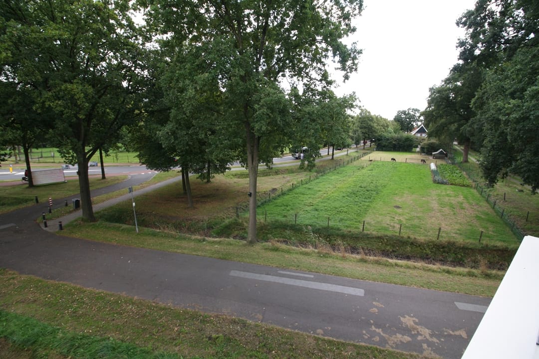 Foto 13 van Laagland 43