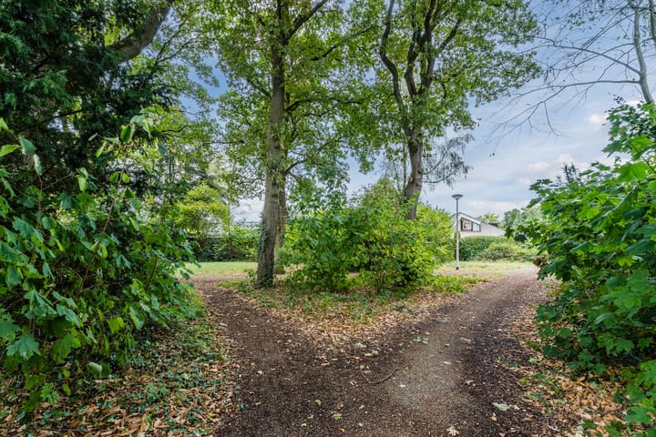 Foto 67 van Merellaan 13