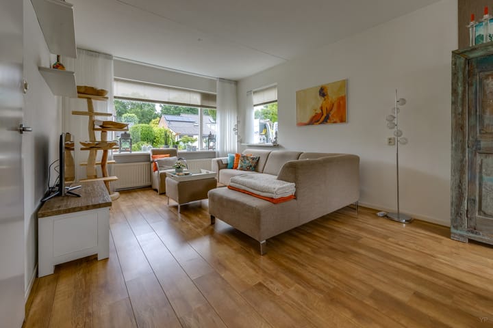 Photo 5 of Hunzedal 40-A