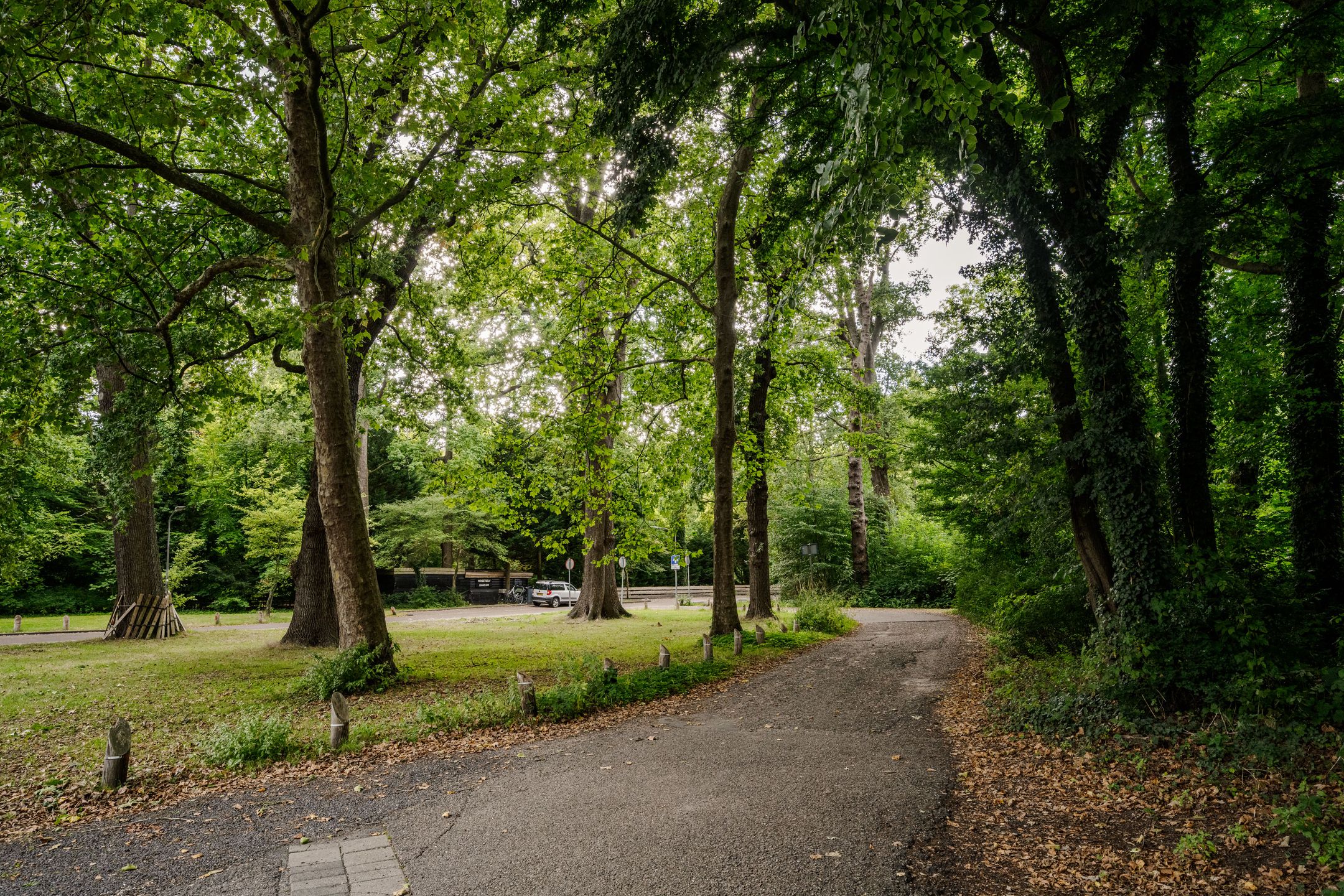 Foto 54 van Oosterhoutlaan 3-A