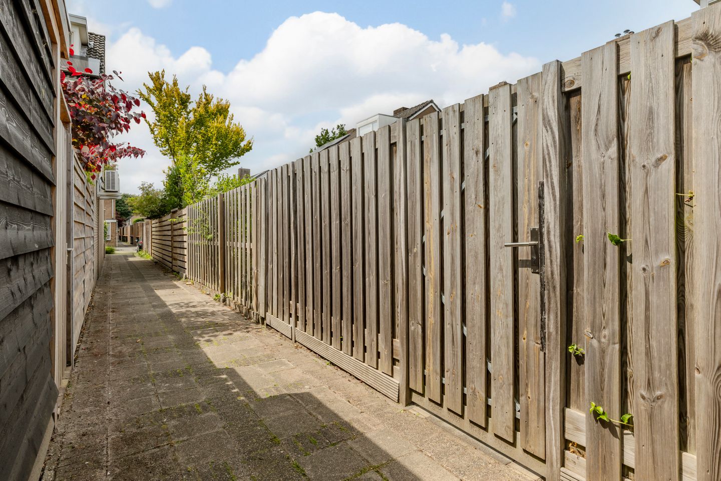 Foto 29 van De Dommel 90