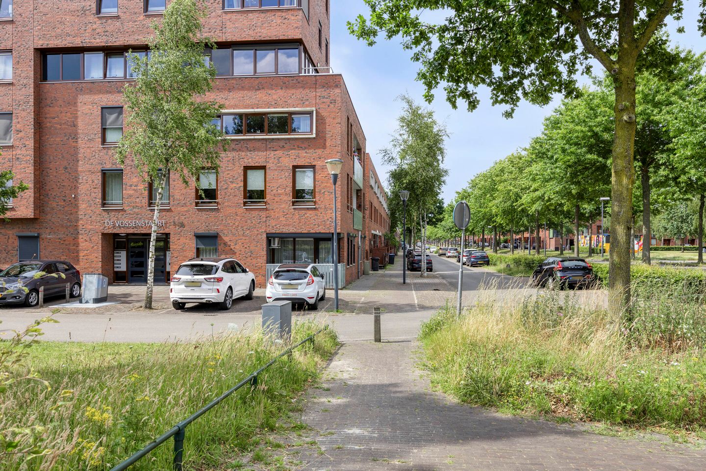 Foto 10 van Graspieper 25