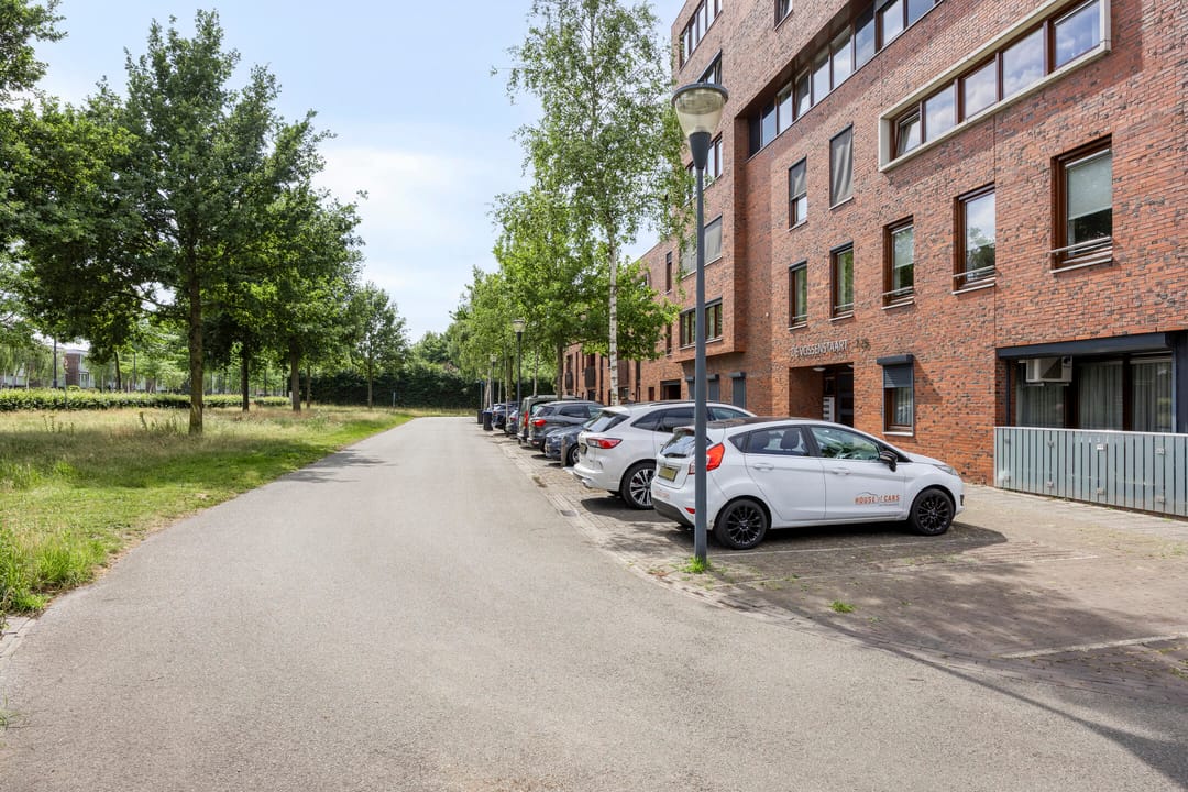 Foto 11 van Graspieper 25