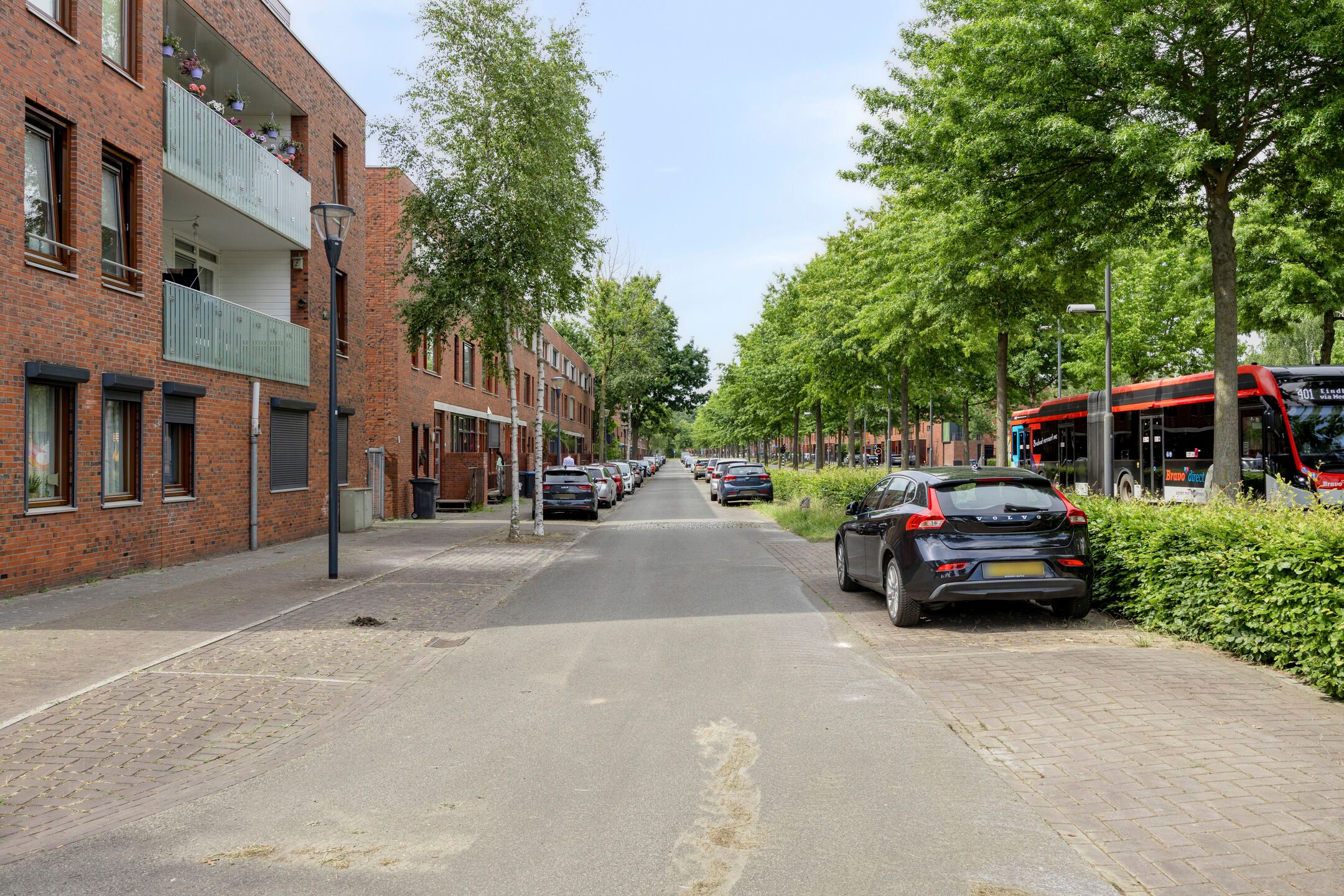 Foto 12 van Graspieper 25