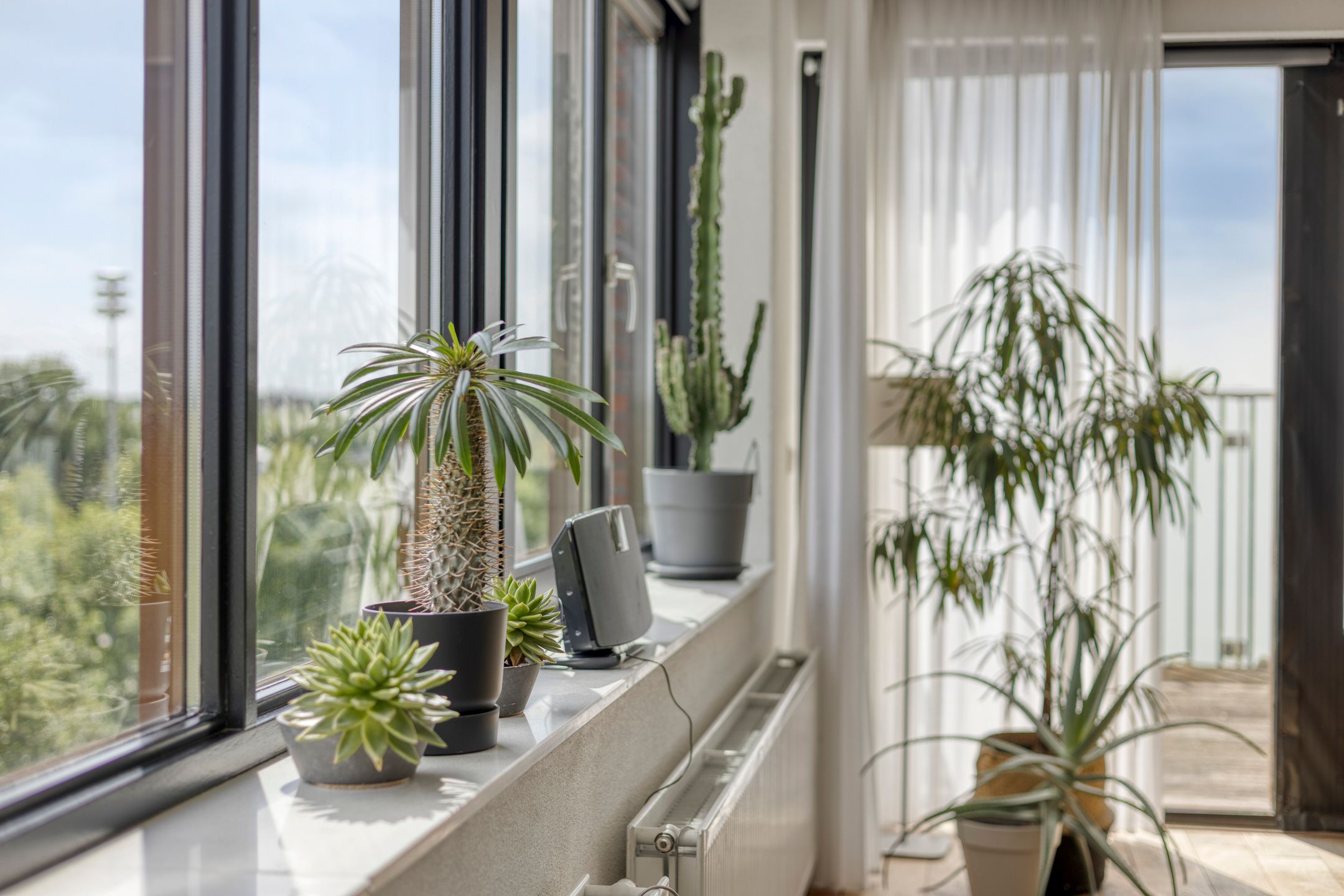 Foto 21 van Graspieper 25