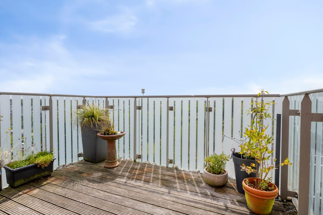 Foto 31 van Graspieper 25