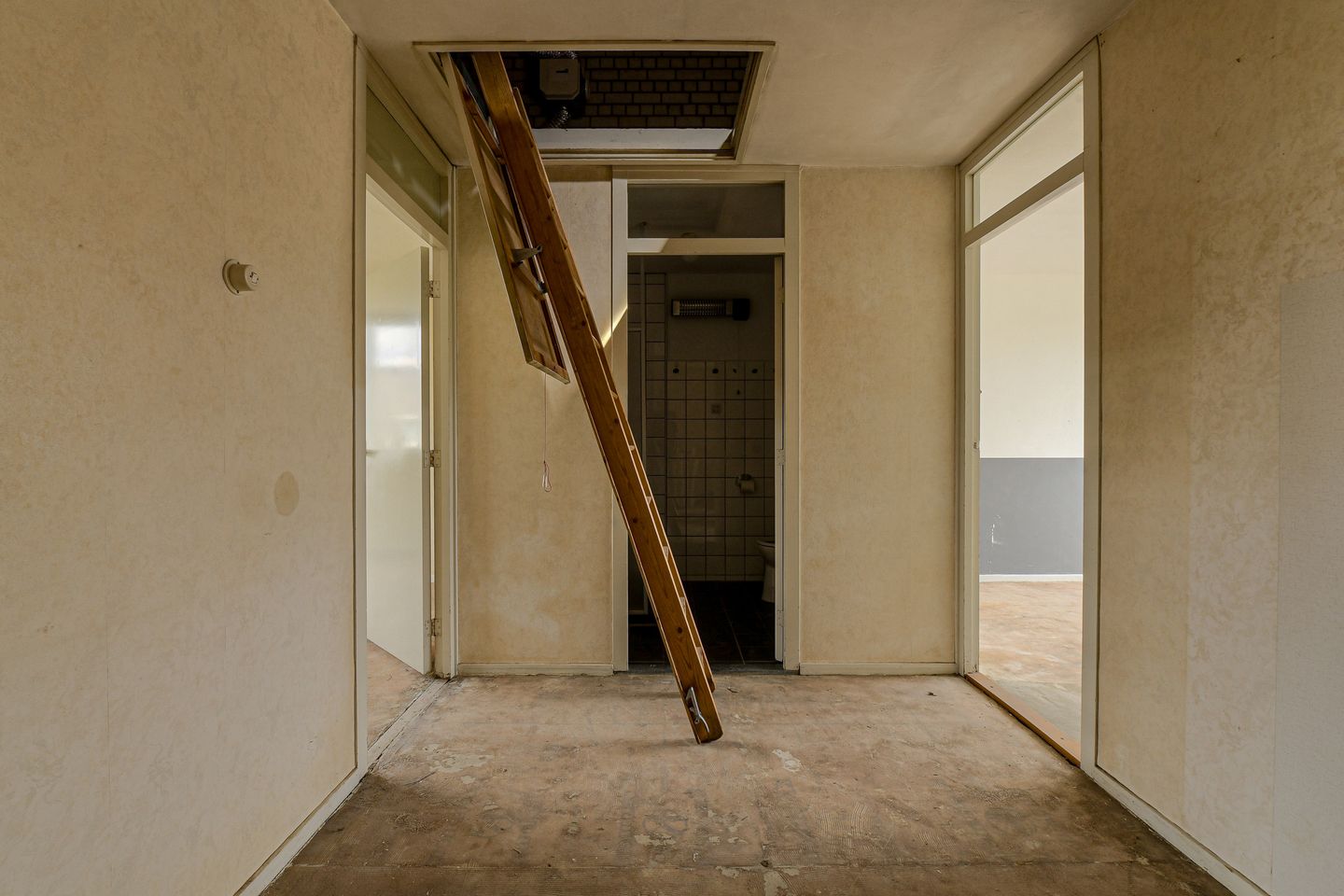 Photo 35 of Wagenaarstraat 11