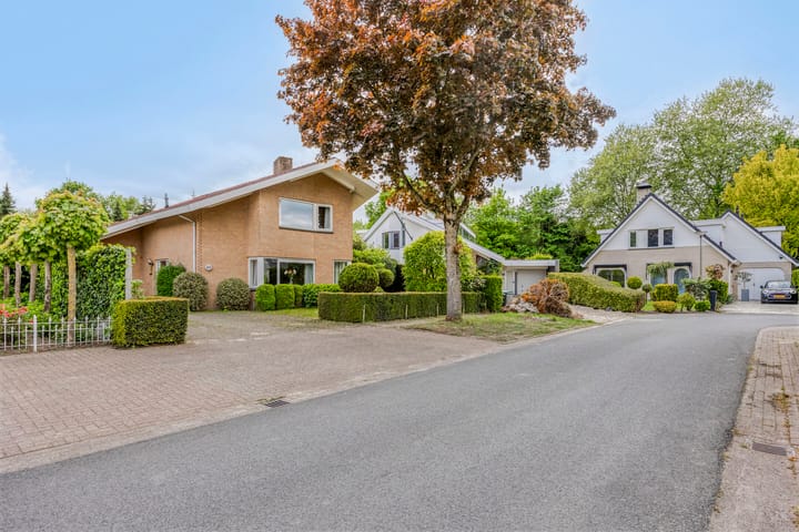 Foto 47 van De Delle 85