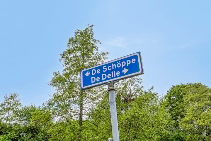 Foto 54 van De Delle 85