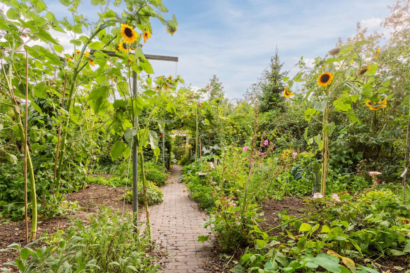 Photo 25 of Bruins Slotlaan 17