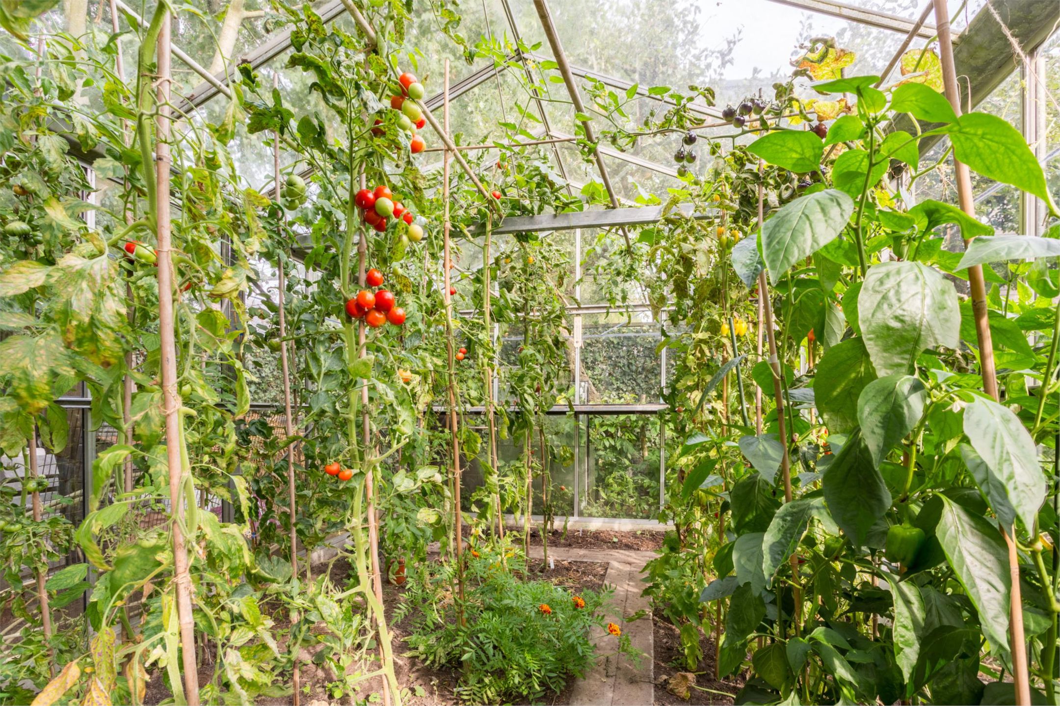 Photo 27 of Bruins Slotlaan 17