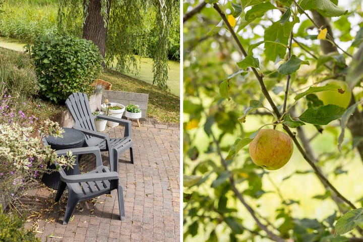 Photo 33 of Franckenastate 2