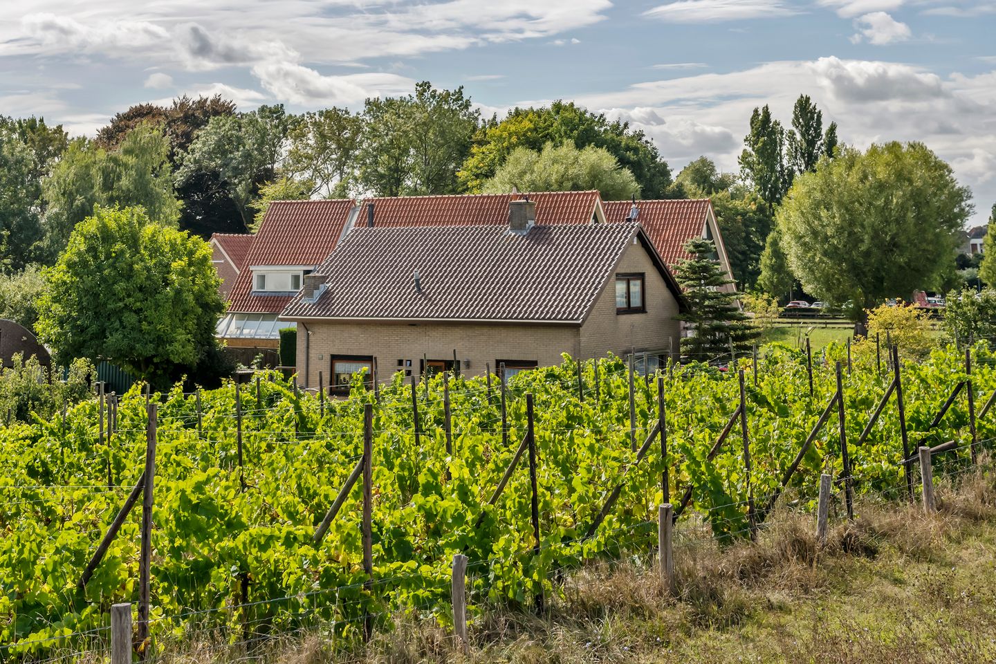 Photo 59 of Beusichemsedijk 6