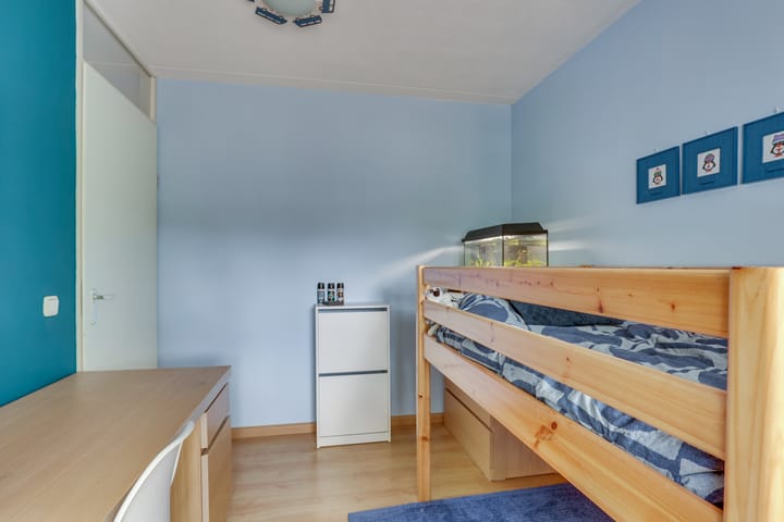 Foto 17 van Citroenvlinder 124