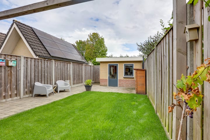 Foto 24 van Citroenvlinder 124