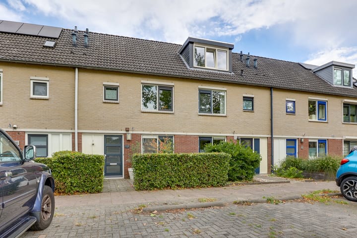 Foto 28 van Citroenvlinder 124