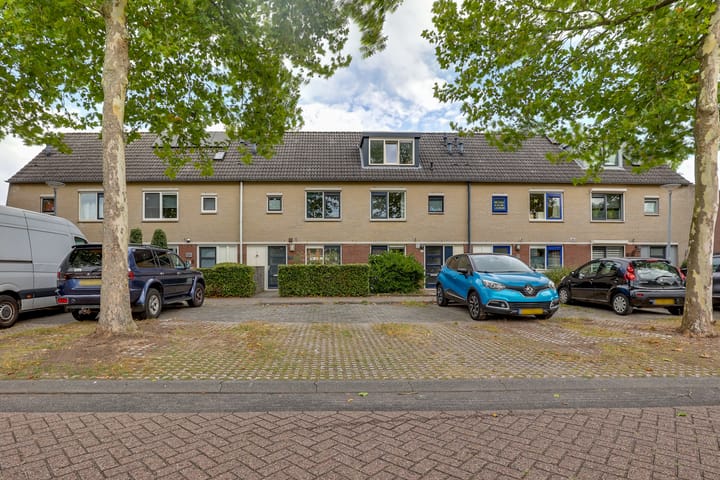 Foto 29 van Citroenvlinder 124