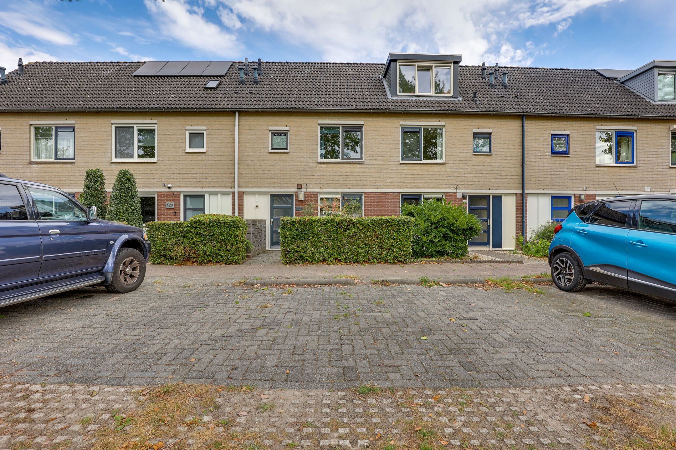 Foto 30 van Citroenvlinder 124