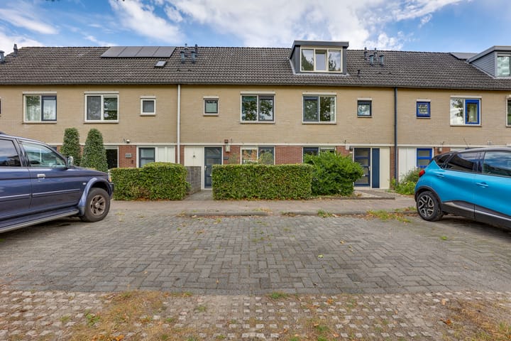 Foto 30 van Citroenvlinder 124