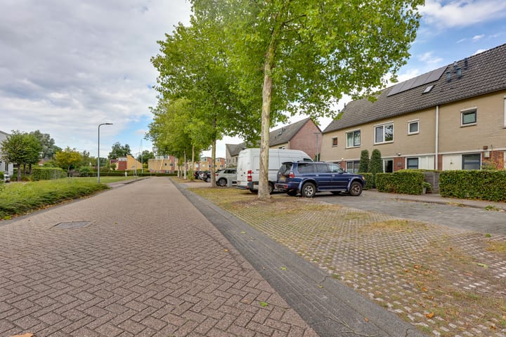 Foto 31 van Citroenvlinder 124